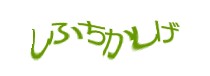 認証画像