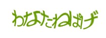 認証画像