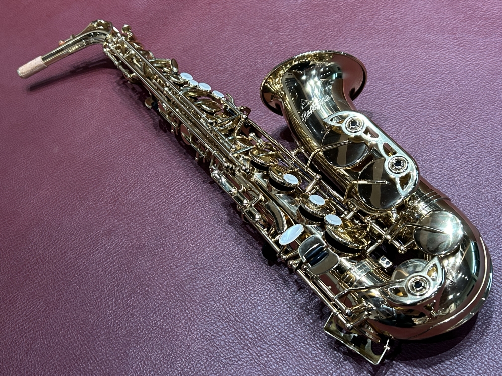 ALTO SAX GL写真