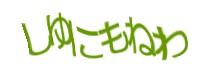 認証画像